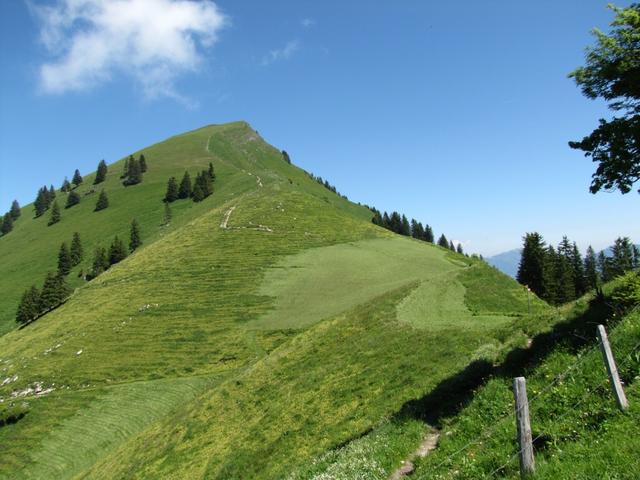 die Aussicht wird immer schöner