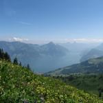 Blick von Punkt 1592 m.ü.M zum wunderschönem Vierwaldstättersee