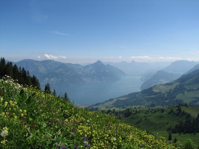 Blick von Punkt 1592 m.ü.M zum wunderschönem Vierwaldstättersee