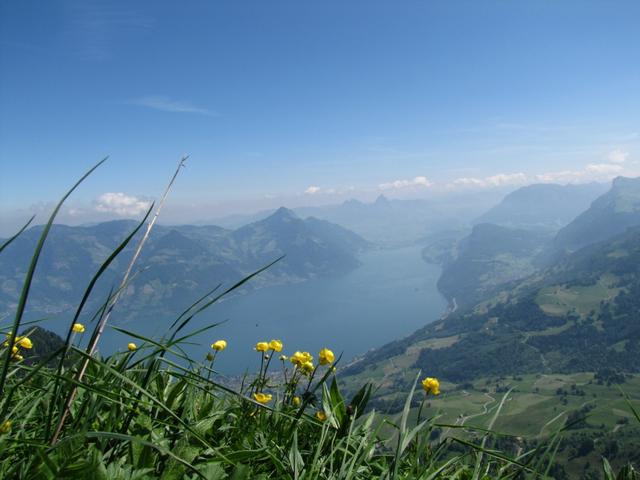 was für eine sehr schöne Aussicht