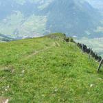 wir haben das Buochserhorn verlassen und wandern nun runter zur Ober Ochsenweid