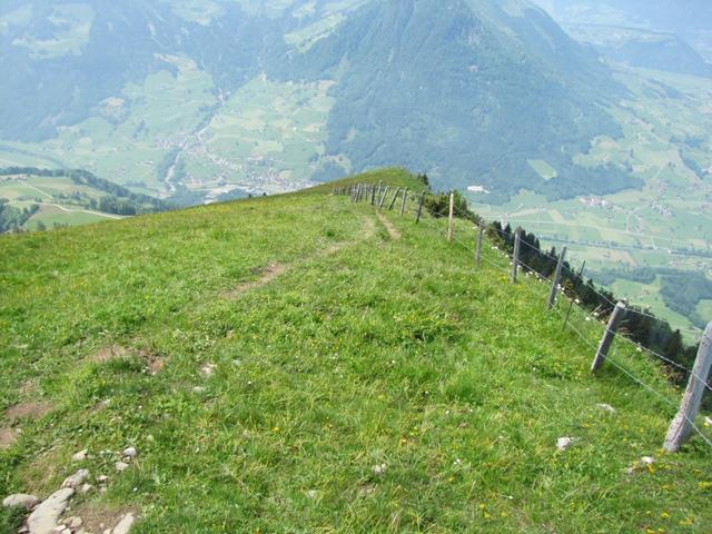 wir haben das Buochserhorn verlassen und wandern nun runter zur Ober Ochsenweid