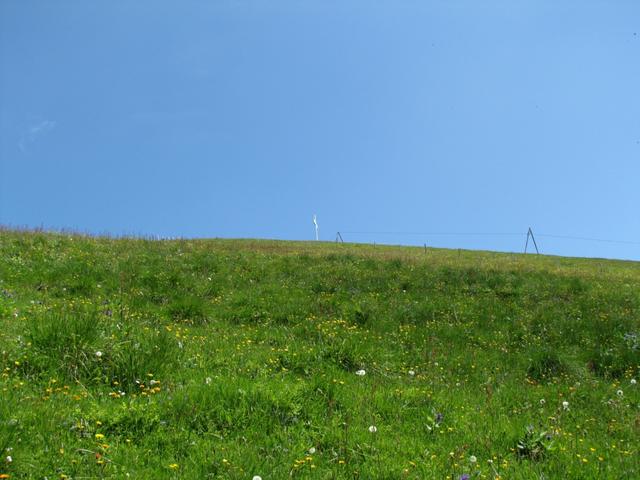 Blick rauf zum Gipfelkreuz