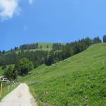 letzter Blick rauf zum Buochserhorn. Seht ihr das Gipfelkreuz?