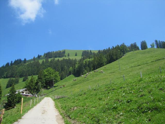 letzter Blick rauf zum Buochserhorn. Seht ihr das Gipfelkreuz?