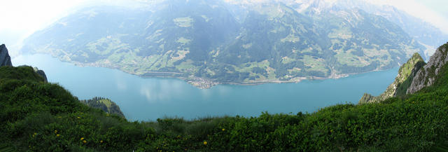 nochmals ein schönes Breitbildfoto vom Walensee