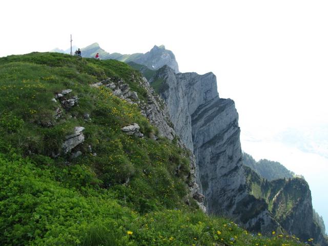 hier gut ersichtlich. Der Leistchamm bricht fast senkrecht Richtung Walensee ab