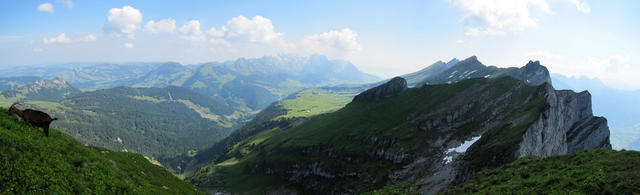 Breitbildfoto mit Blick Richtung Churfirsten