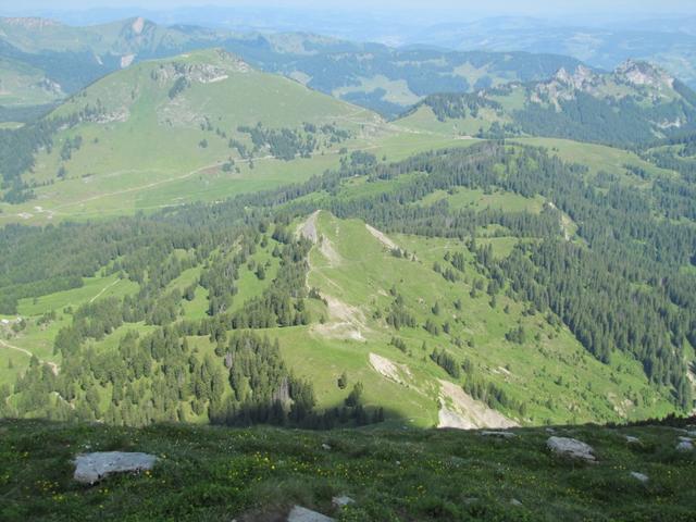 unser nächstes Ziel der Flügenspitz