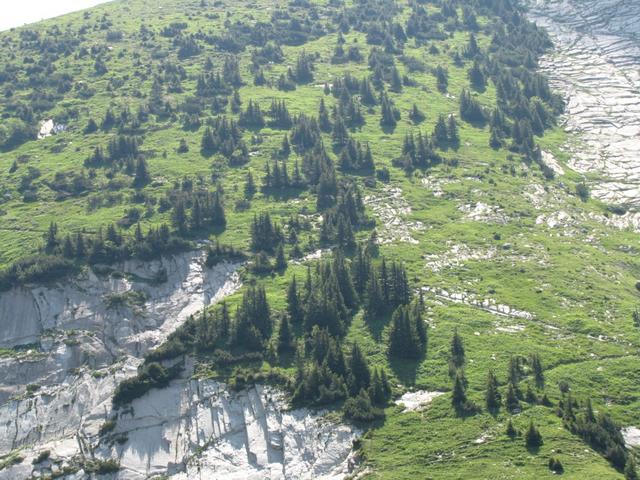 gut ersichtlich der Bergweg