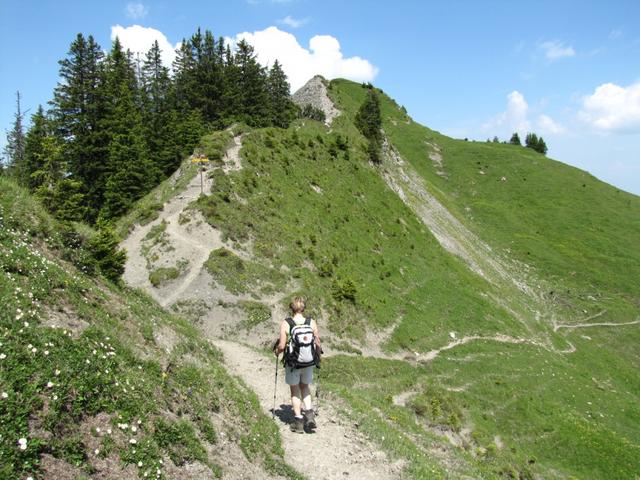 kurz vor dem Flügenspitz