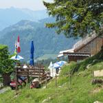 die Besenbeiz auf Alp Looch 1535 m.ü.M.