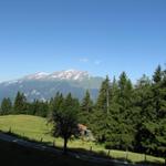 Blick von Artimi 1512 m.ü.M. zum Haldensteiner Calanda