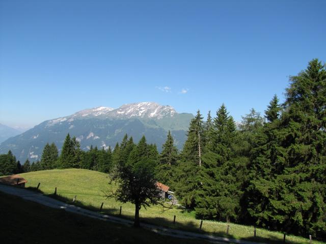 Blick von Artimi 1512 m.ü.M. zum Haldensteiner Calanda