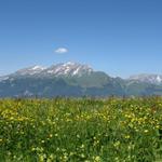 Blick von Stams aus gesehen, zum Haldensteiner Calanda