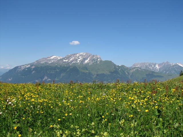 Blick von Stams aus gesehen, zum Haldensteiner Calanda