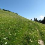 Stams liegt hinter uns. Auf dem Weg zum Cyprianspitz