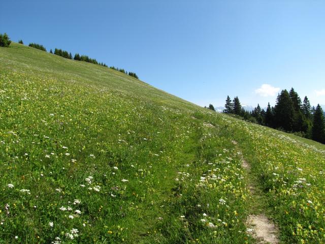 Stams liegt hinter uns. Auf dem Weg zum Cyprianspitz