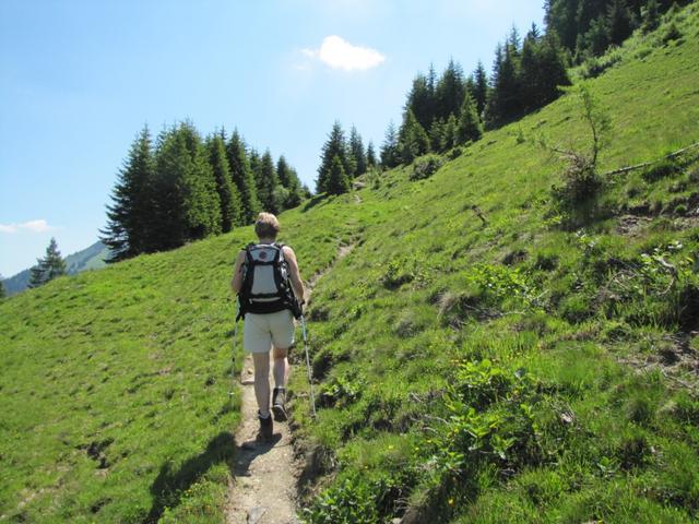 nach Stams führt der Weg aufwärts Richtung Zanutscher-Boden 