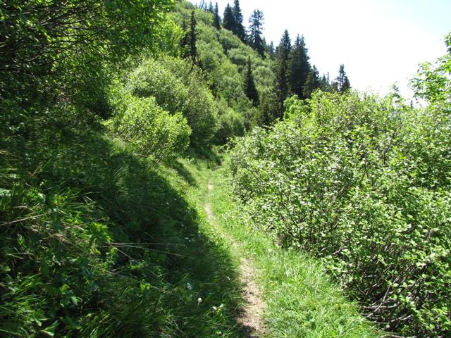 bei Punkt 1842 m.ü.M. unterhalb des Sunntigberg, auf dem Weg nach Spundätscha