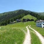 bei Punkt 1542 m.ü.M. mit dieser Sicht haben wir Mittag gegessen