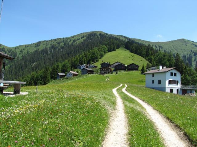 bei Punkt 1542 m.ü.M. mit dieser Sicht haben wir Mittag gegessen