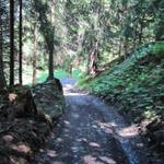 auf dem Weg nach Mammet. Dort biegt rechts der Wanderweg Richtung Ober-Says ab