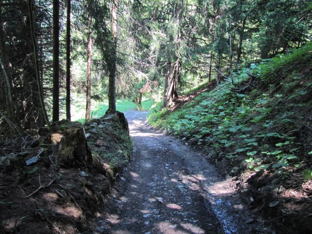 auf dem Weg nach Mammet. Dort biegt rechts der Wanderweg Richtung Ober-Says ab