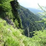 Blick runter zum Zanutscher Tobel