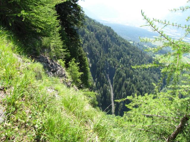 Blick runter zum Zanutscher Tobel