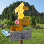 Wegweiser bei der Fuederegg 1482 m.ü.M. Wir Wandern Richtung Roggenhütte