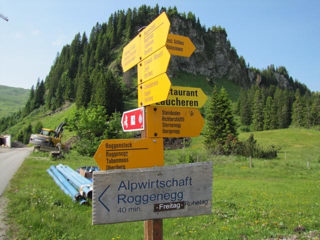 Wegweiser bei der Fuederegg 1482 m.ü.M. Wir Wandern Richtung Roggenhütte