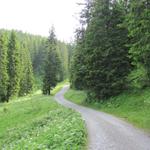 auf der Fahrstrasse Richtung Roggenhütte