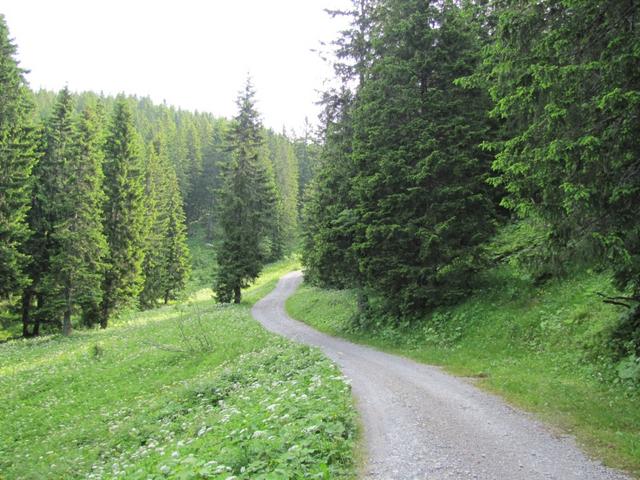 auf der Fahrstrasse Richtung Roggenhütte