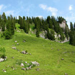 Breitbildfoto von der Roggenhütte 1538 m.ü.M. mit Blick Richtung Roggenstock