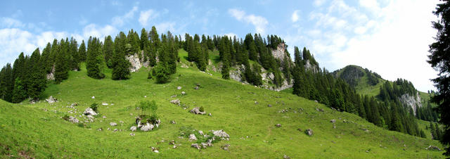 Breitbildfoto von der Roggenhütte 1538 m.ü.M. mit Blick Richtung Roggenstock