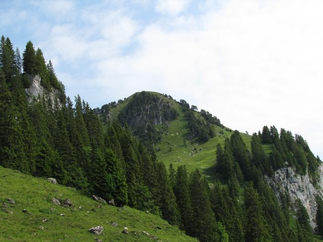 Blick zum Roggenstock. Geologisch ein sehr interessanter Berg.