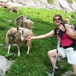 Mäusi streichelt eine Ziege