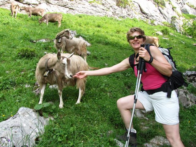 Mäusi streichelt eine Ziege