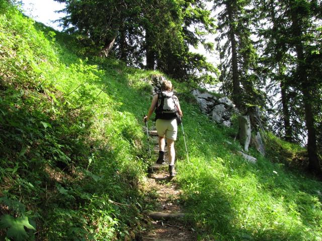 auf dem Weg nach Ober Roggen