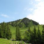Blick von der Alp Roggen zum Roggenstock