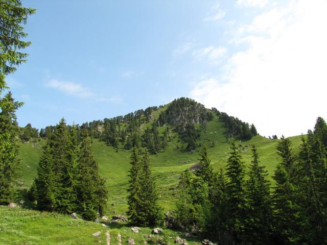 Blick von der Alp Roggen zum Roggenstock