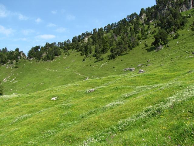 auf Ober Roggen 1614 m.ü.M. der weitere Wegverlauf ist gut ersichtlich