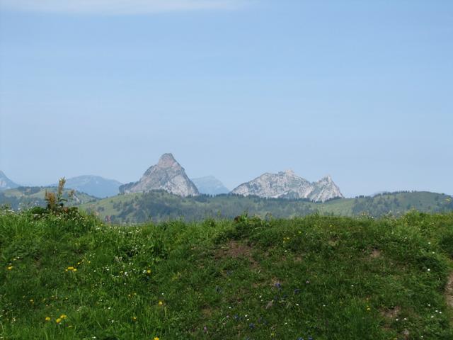 vom Roggengrat hat man eine schöne Aussicht auf diverse Gipfel. Die beiden Mythen. Dort waren wir auch schon