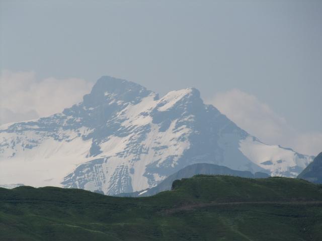 Schärhorn