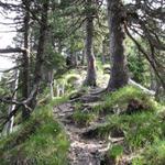 auf dem Roggengrat, der schönste Abschnitt der Wanderung