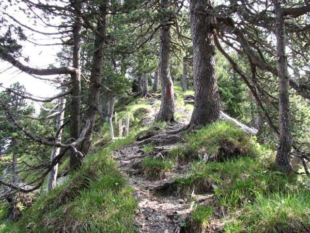 auf dem Roggengrat, der schönste Abschnitt der Wanderung