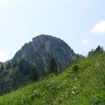 Blick vom Bergbeizli aus zum Roggenstock