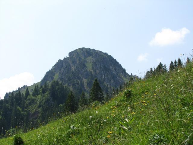 Blick vom Bergbeizli aus zum Roggenstock