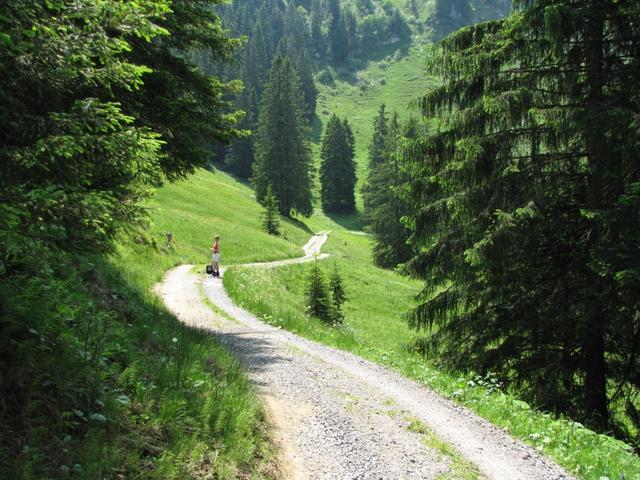 bei Jäntli Punkt 1484 m.ü.M. auf dem Weg zur Fuederegg